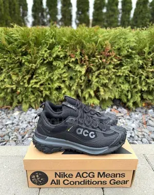 Nike Acg Mountain Fly 2 Low Gore-Tex Black