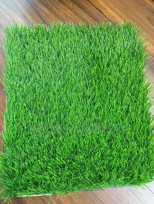Seliv Artificial Turf