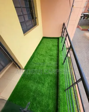 Zeng Artificial Turf