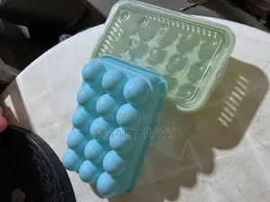 Plastic Egg Trays