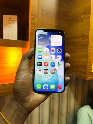 Apple iPhone 12 Pro Max 256 GB Gray