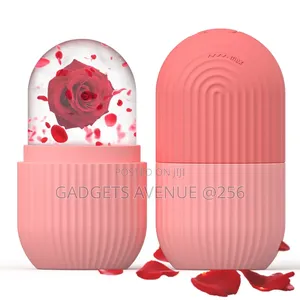 Silicone Ice Face Roller