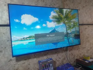 55 SPJ Smart Digital Flat Screen Flameless