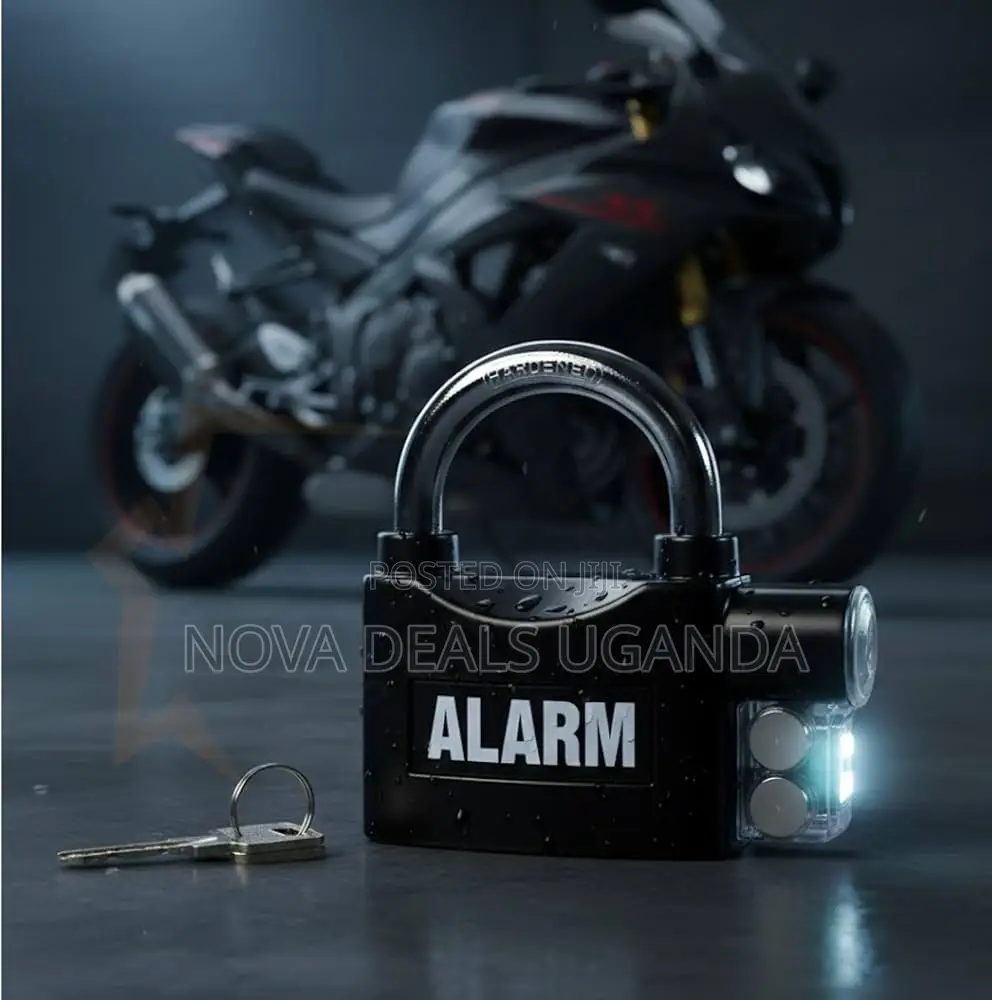 Stainless Steel Alarm Padlock-box Of 10pcs