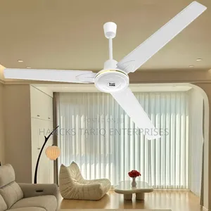 Evernal 56-Inch Ceiling Fan (Cf-56b2)