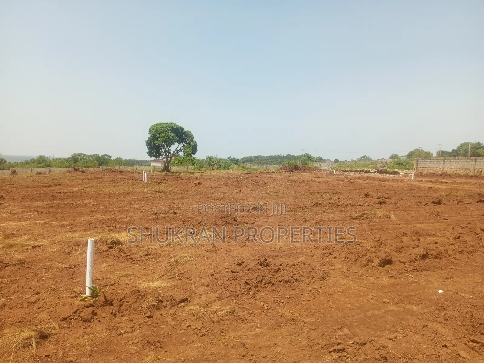 Lake View Plots