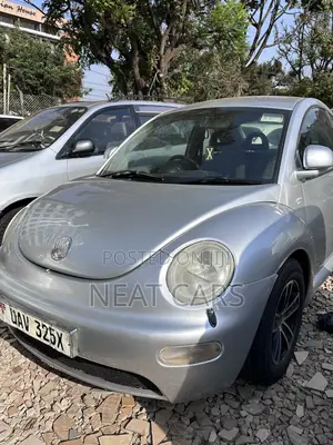 Volkswagen Beetle Diesel 1998 Gray