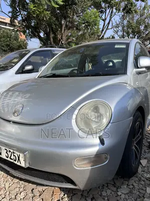 Volkswagen Beetle Diesel 1998 Gray
