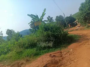 Half Acre in Bombo M No Blockers