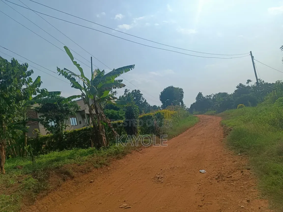 Half Acre in Bombo M No Blockers