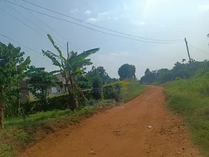 Half Acre in Bombo M No Blockers