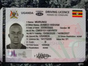 Murungi Ahmed Hisham Cv
