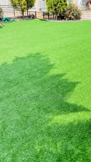 Outdoor Grass Per Squaremeter