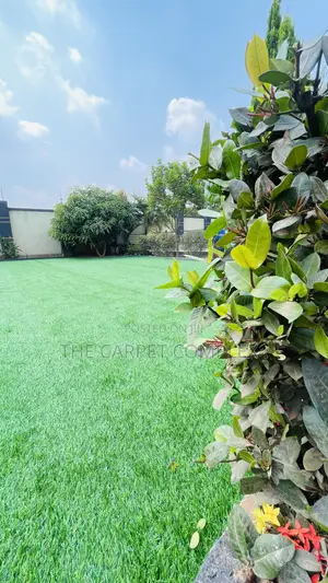 Floor Grass Carpets Executive Per Squaremeter
