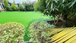 Home Beautiful Grass Carpets Per Squaremeter