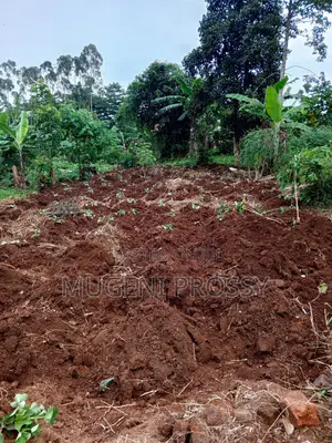 Prime Plot for Sale in Bukerere, Mukono