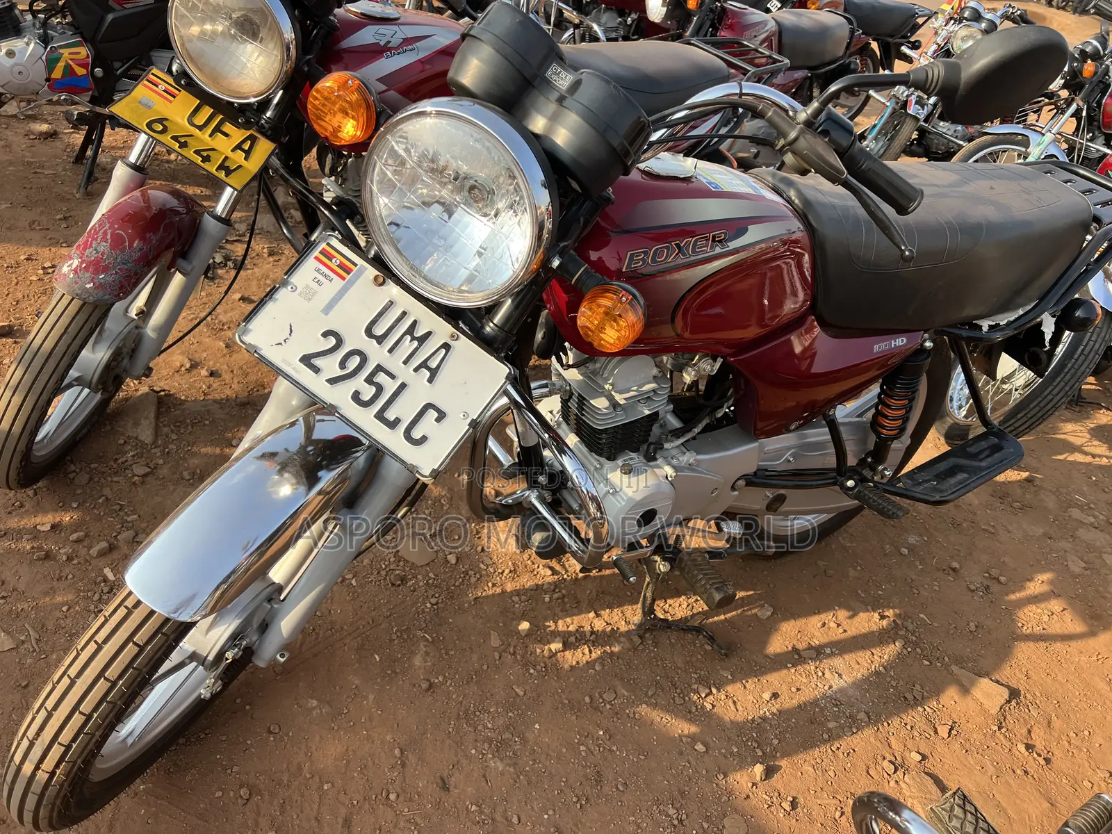 New Bajaj Boxer 100 2026 Red