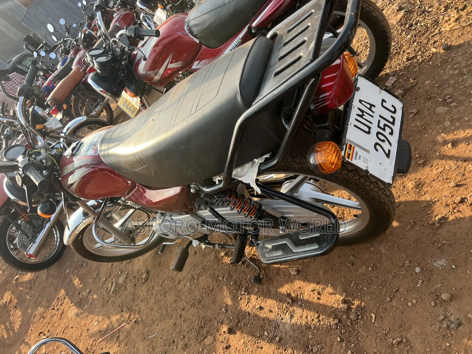 New Bajaj Boxer 100 2026 Red