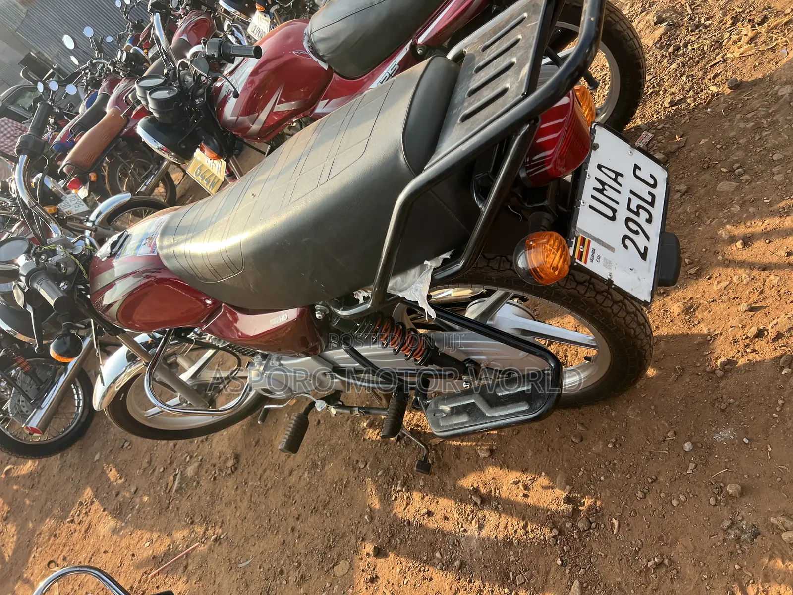 New Bajaj Boxer 100 2026 Red