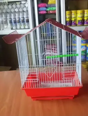 Parrots Bird Cages