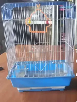 Parrots Bird Cages