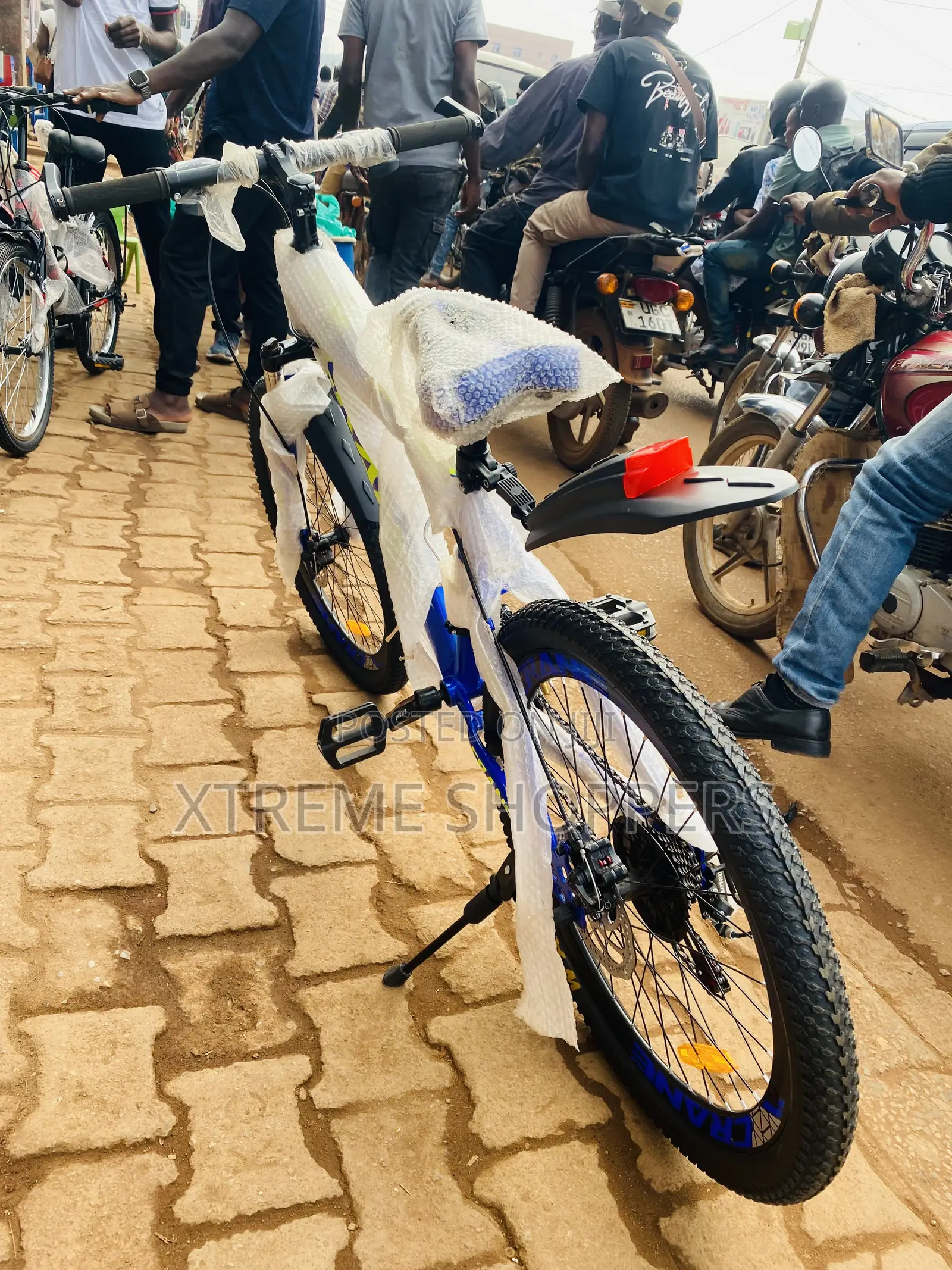 Blue Crane -Bike Size 24” - Bike