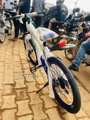 Blue Crane -Bike Size 24” - Bike