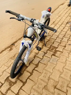 Blue Crane -Bike Size 24” - Bike