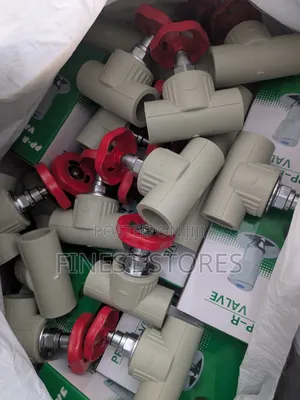 PPR Gate Valves