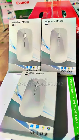 Best Wireless and Bluetooth Mouse - Rechargable