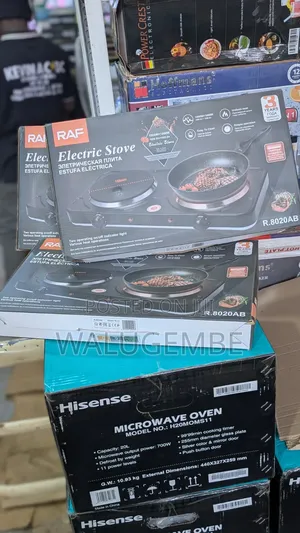 Raf Electric Hotplate
