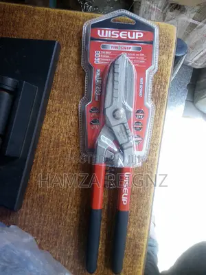 Tin Snip Size 10