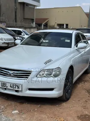 Toyota Mark X 2009 Pearl