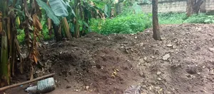Prime 50x100 Residential Plot for Sale in Bukerere Mukono District