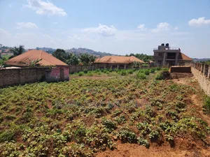 Buloba Nsangi Rd (Manja) 3plots 100*50 Sold at Once