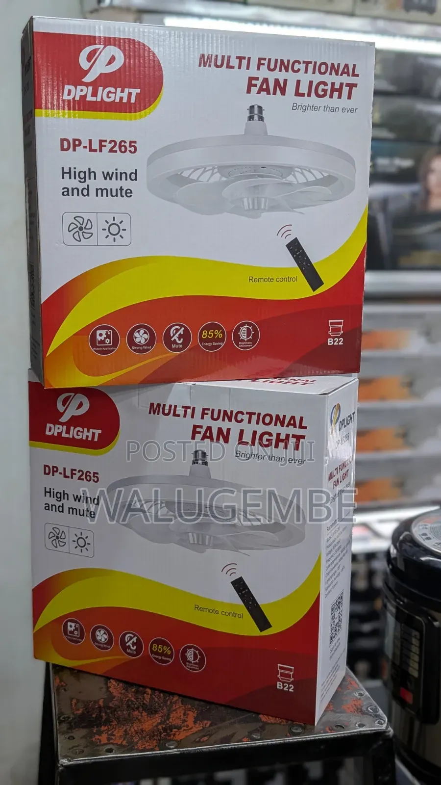 Electric Fan Light