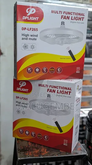 Electric Fan Light