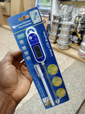 Digital Thermometer With Long Probe