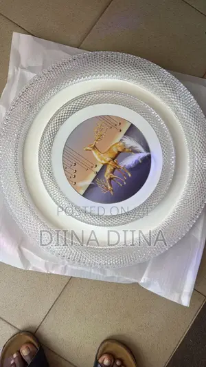Ceiling Light