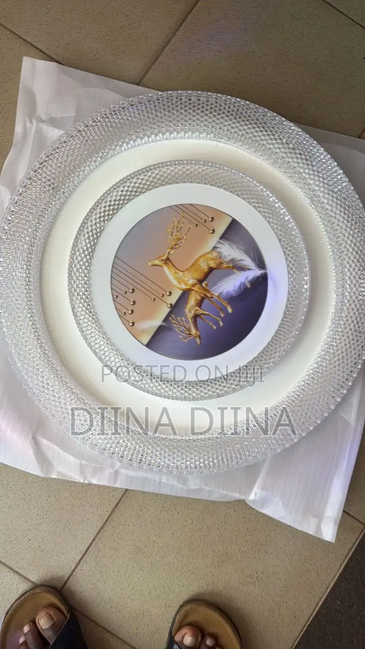 Ceiling Light