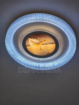 Ceiling Light