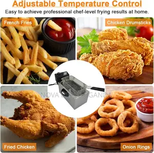 3l Electric Deep Fryer, 2000w With Adjustable Temperature Control