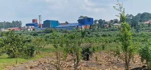 Mukono Industrial 9 Acres of Land for Sale at 200m Each