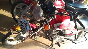 TVS HLX 125 2023 Red