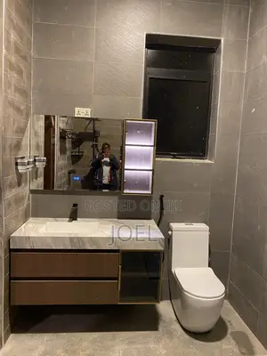 Toilet Seat Installation