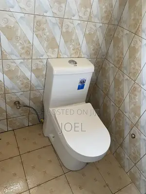 Toilet Seat Installation