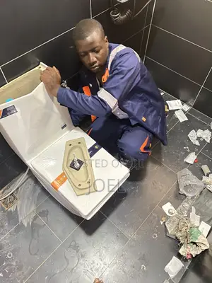 Toilet Seat Installation