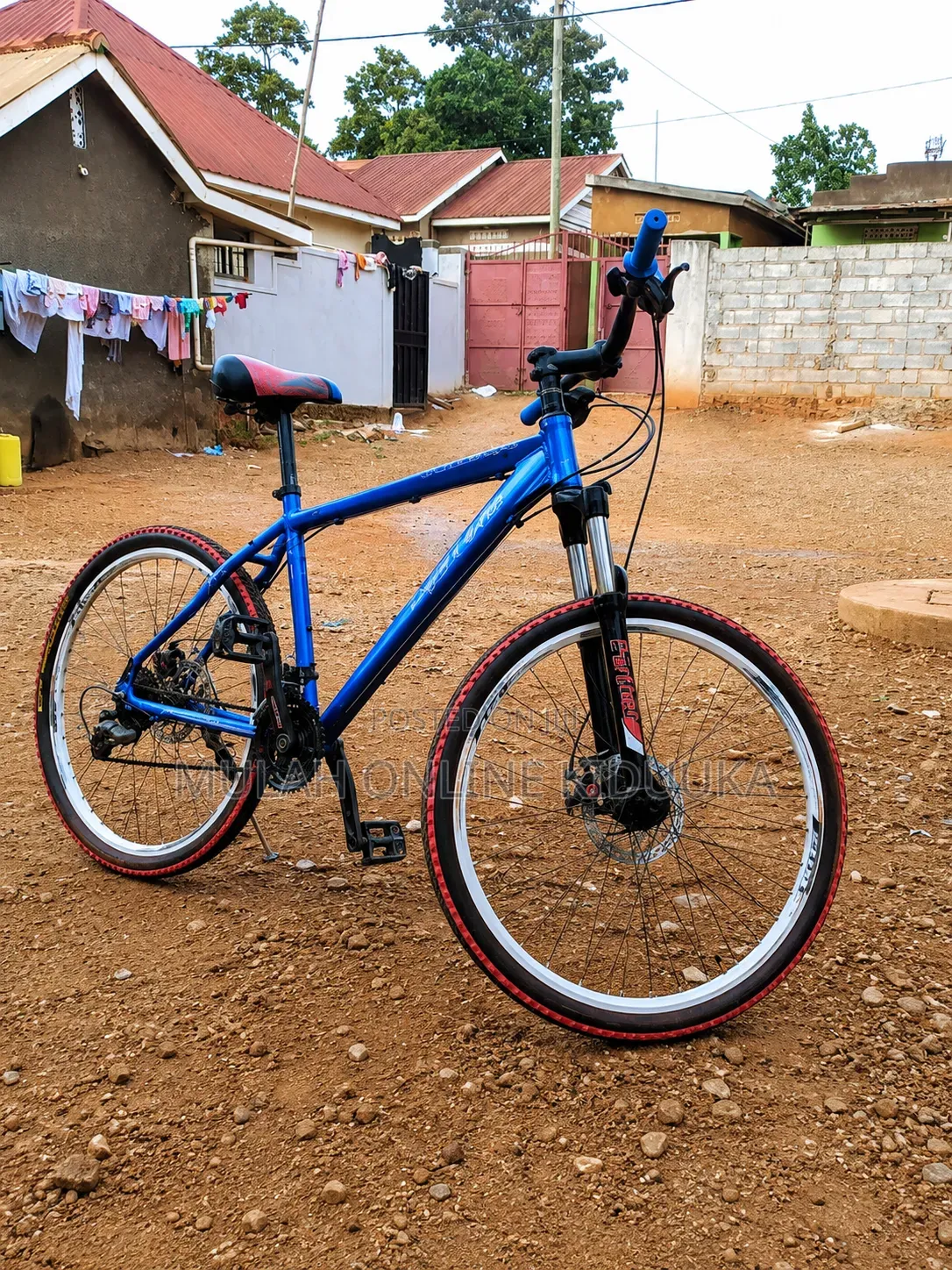 Mountain Bike