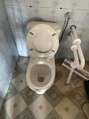 Toilet Safety Handle Installation