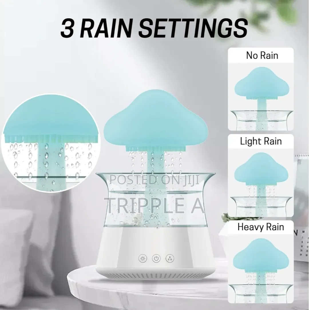New Portable Rain Cloud Humidifier